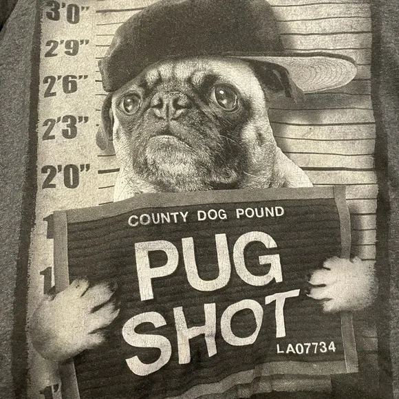 Fifth Sun County Dog Pound Pug Shot Tee Shirt - Picture 3 of 4
